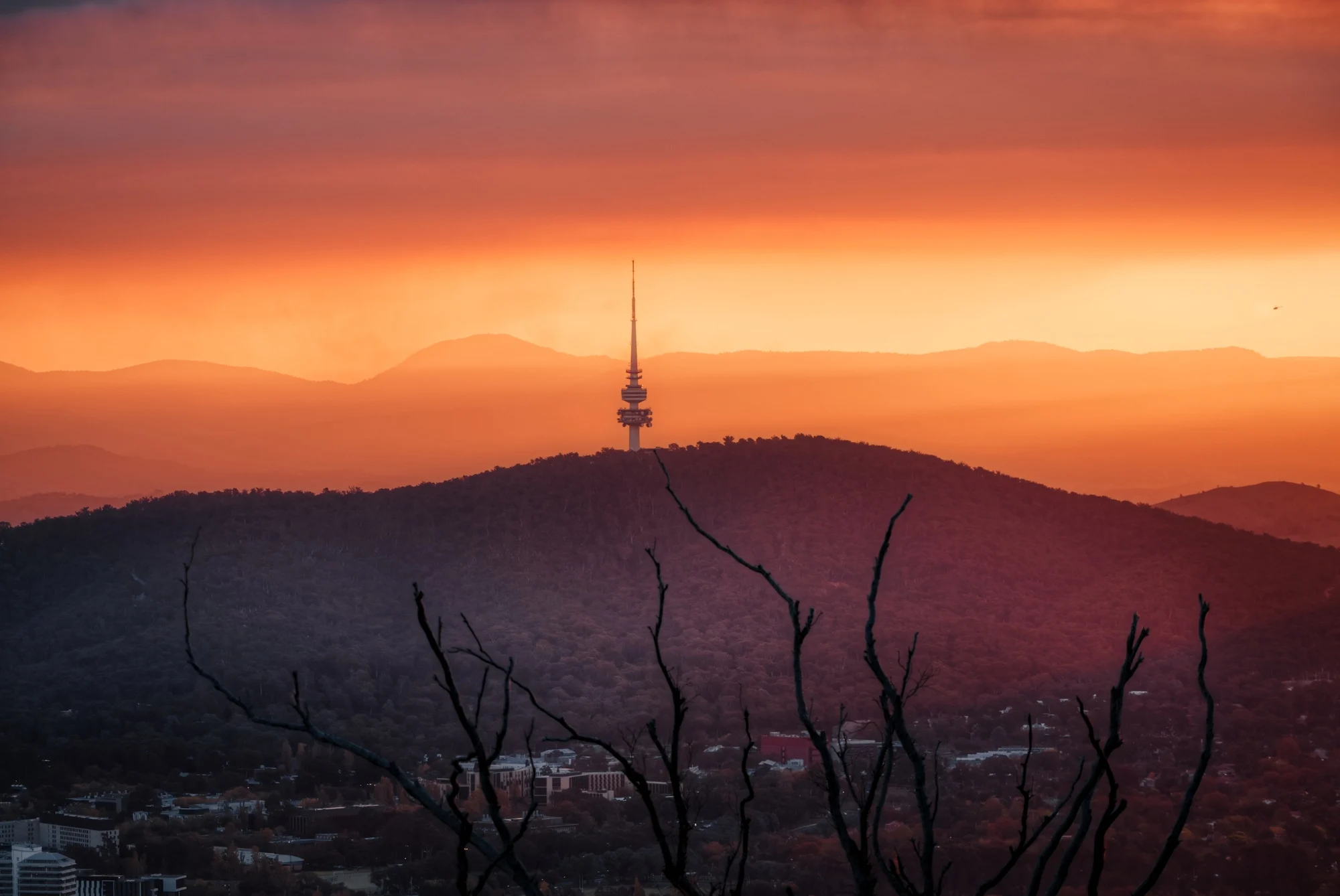 Canberra June 2025 Commercial & Industrial Market Update
