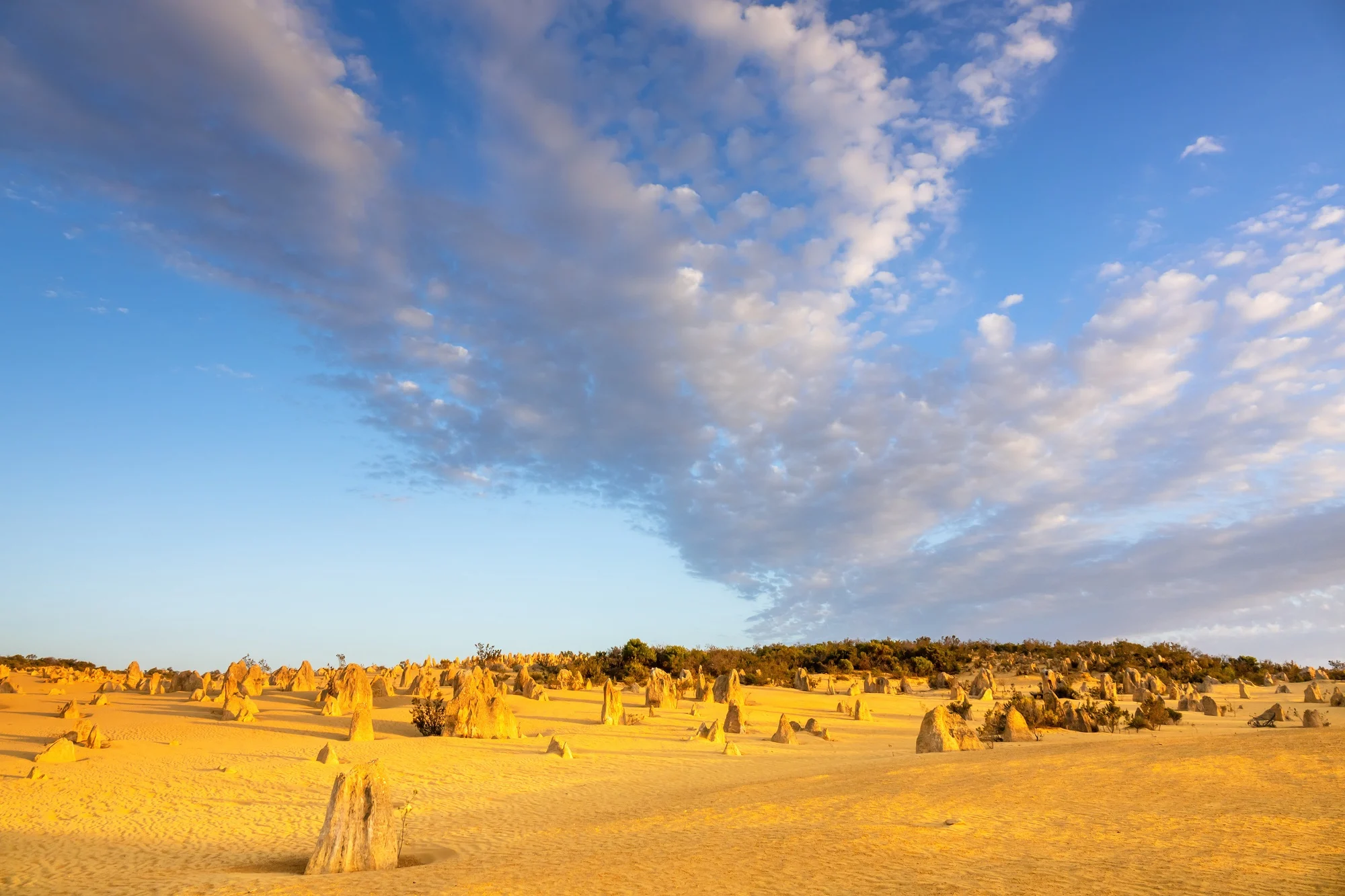 Sentinel Property’s East Arm Acquisition Signals NT Industrial Momentum