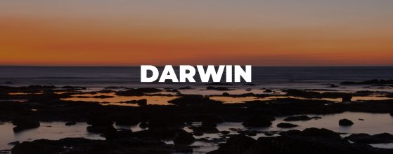 Darwin Commercial & Industrial Property News: July 2026
